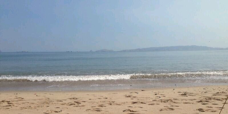 Sandra Depablos banner