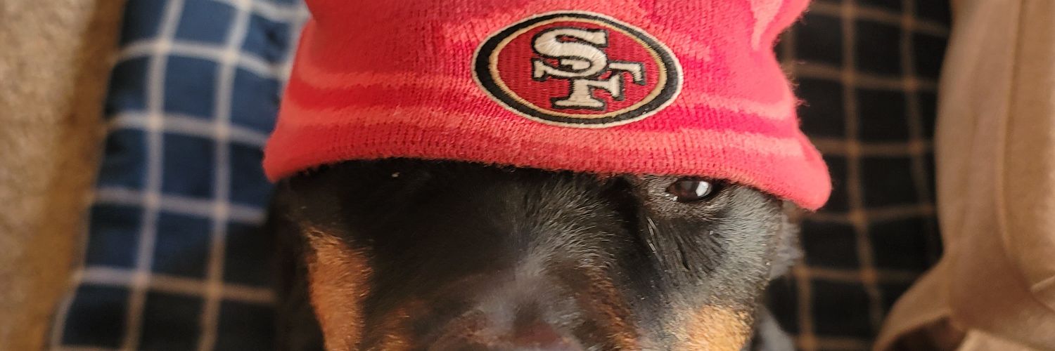 Toastid's profile banner image