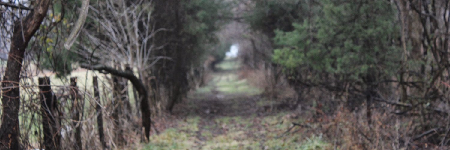 philshea's profile banner image
