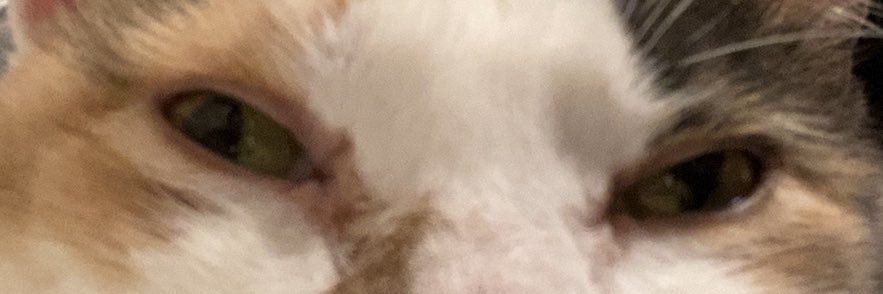cgholson22's profile banner image