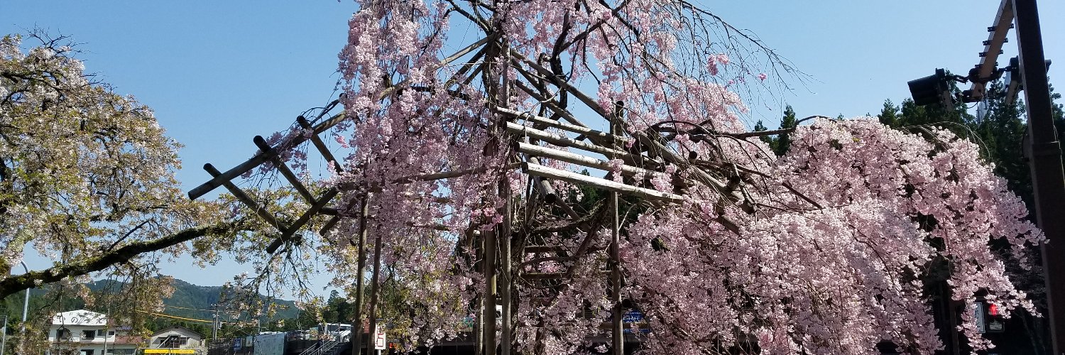 steven ross johnson banner