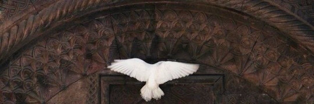 vc11f's profile banner image