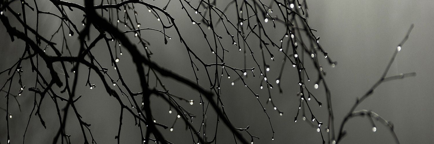 McDanny28's profile banner image