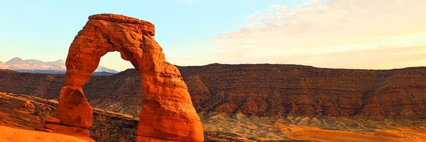 graceinsci Profile Banner