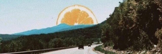 callmecatbird's profile banner image