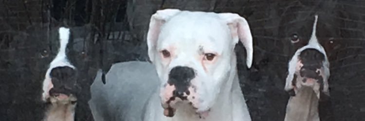 johndemonte's profile banner image