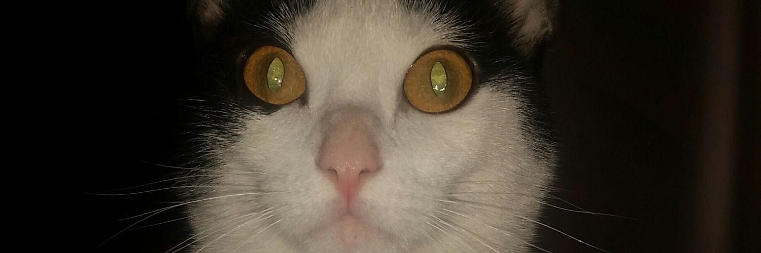 ammonra85's profile banner image