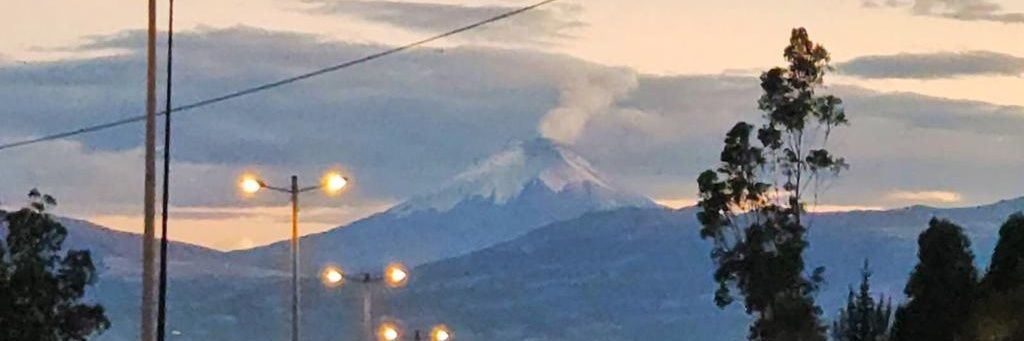 chynomantilla's profile banner image