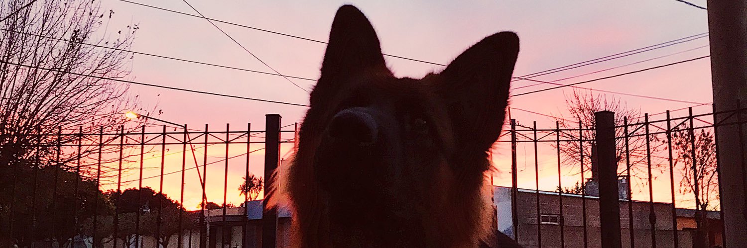 RoMinardii's profile banner image