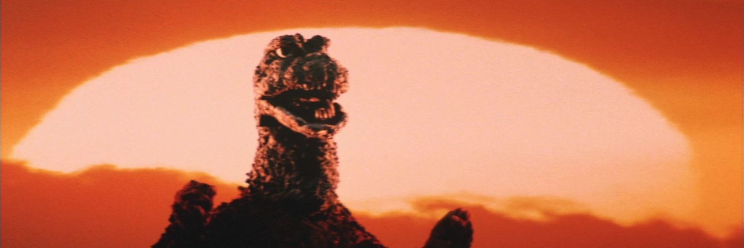 fnandomo's profile banner image