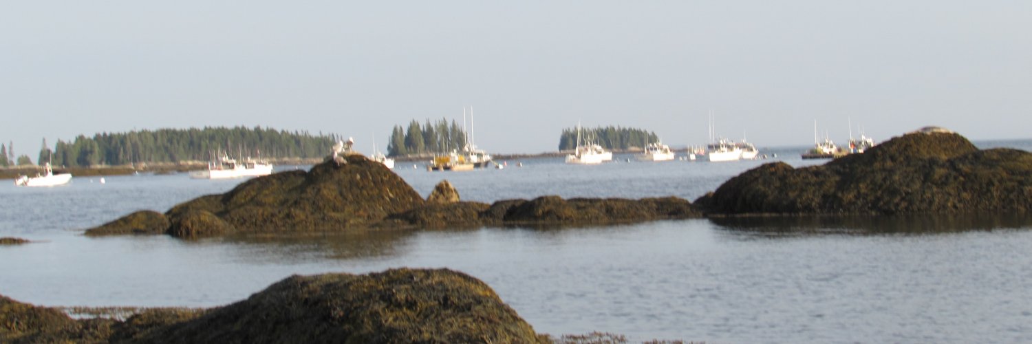 AnnMatlack's profile banner image