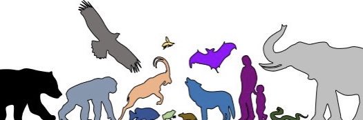 ManyManys's banner