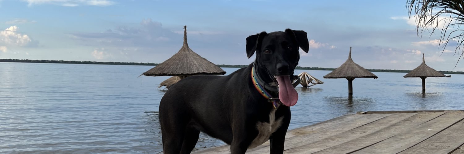Nacho_May's profile banner image