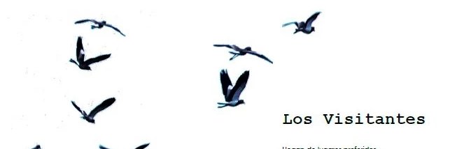 Lu_Entaa's profile banner image