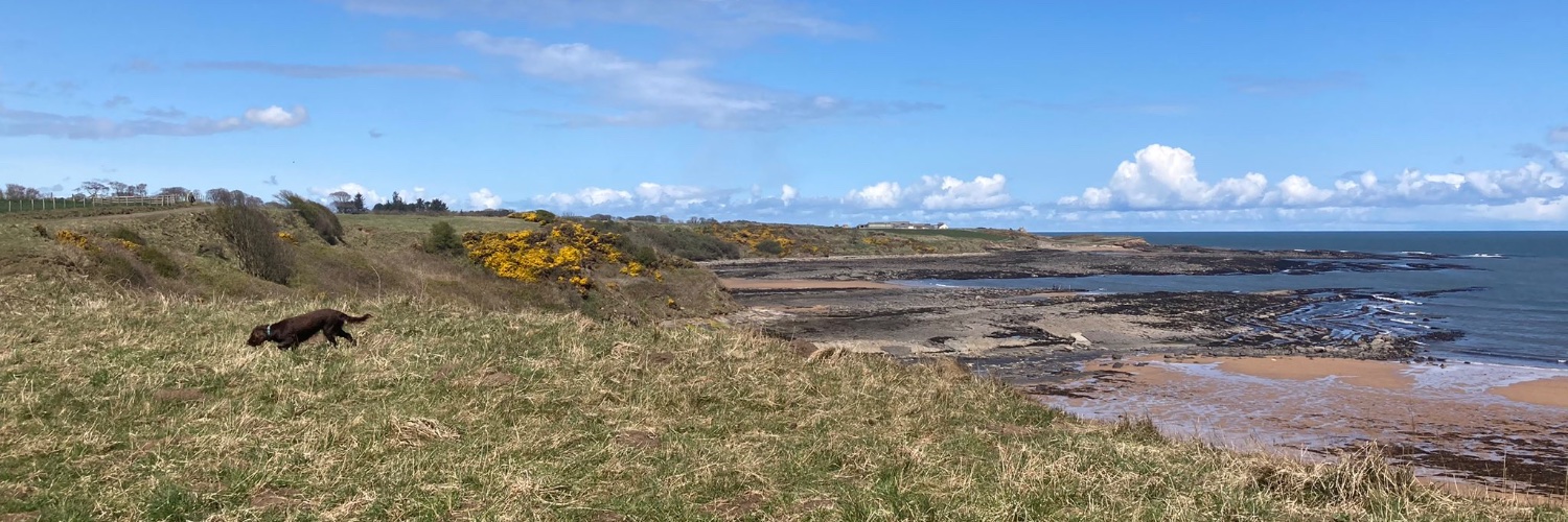 Benjamin Bateman banner