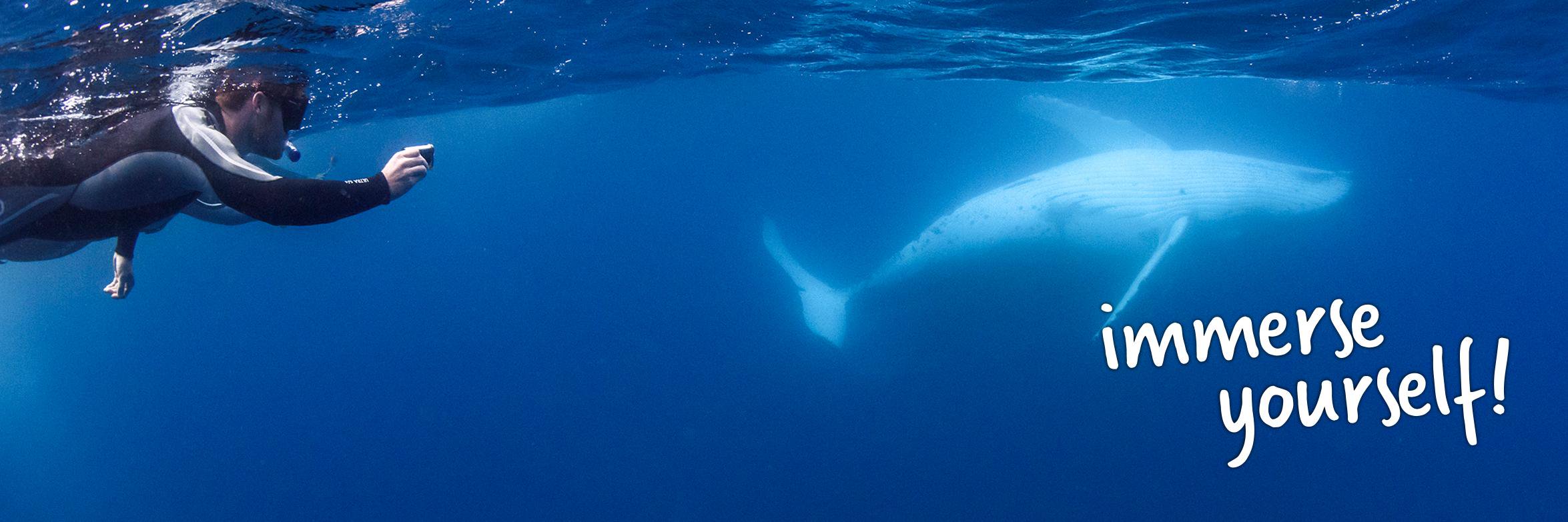 Sunreef Mooloolaba banner