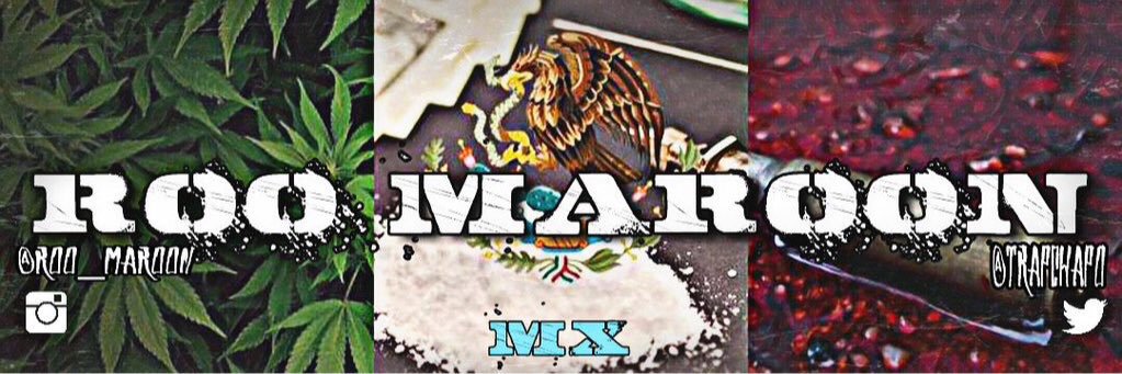 TRAPCHAPO's profile banner image