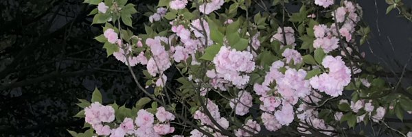 UKOO330 Profile Banner