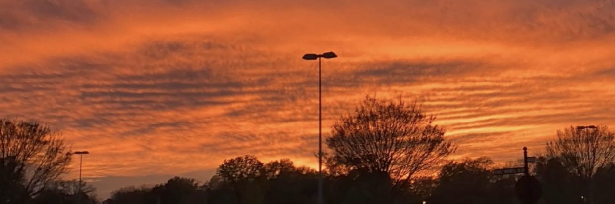 _ItsReallyNilly's profile banner image