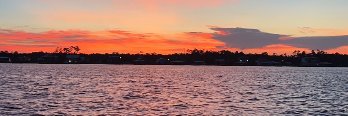 bonewton's profile banner image