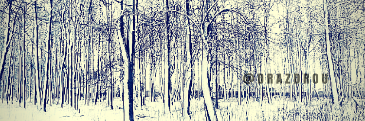 drazdrou's profile banner image