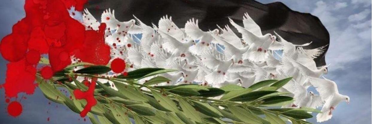 AryafAhmad's profile banner image