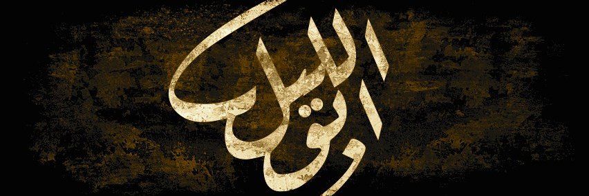 محمد أبوالليل banner