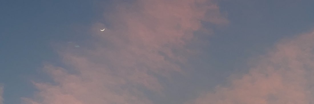 GoddessTeri's profile banner image