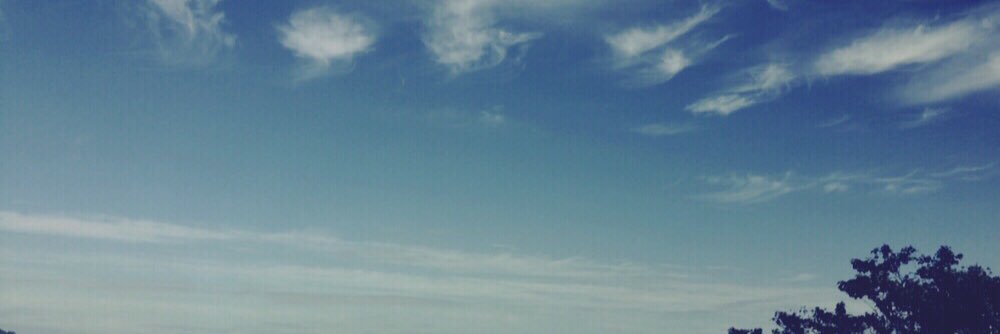 617201_ay's profile banner image