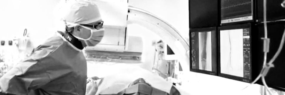 Vincent Gallo banner