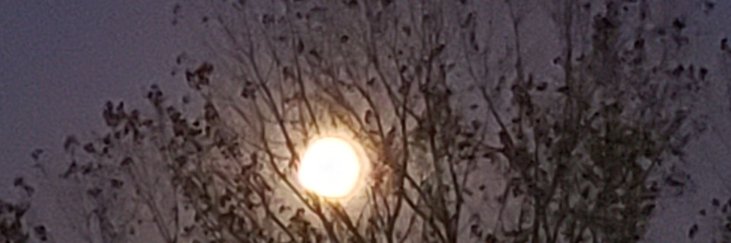 Maddy1Smith's profile banner image