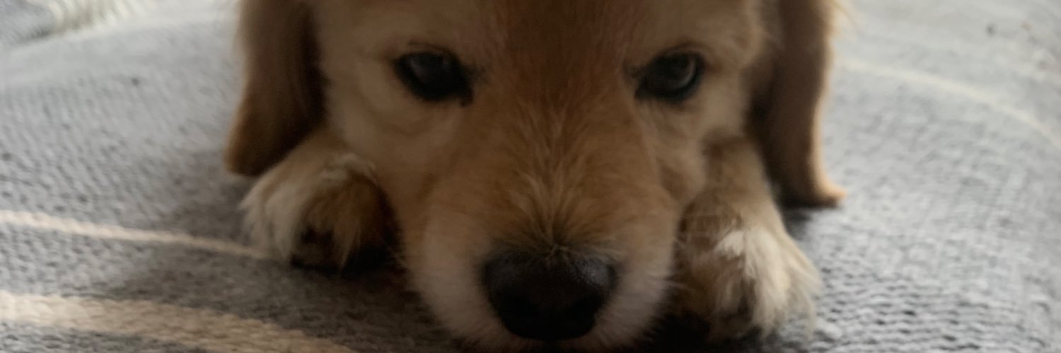 Miliijorge's profile banner image