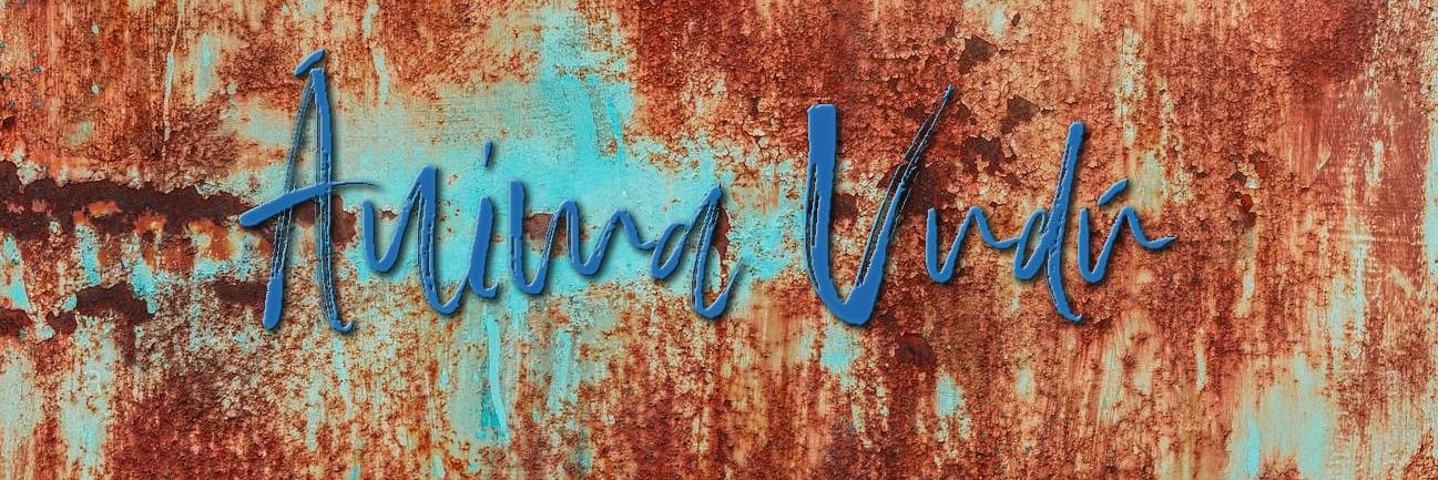 𝒜𝓃𝒾𝓂𝒶 𝒱𝓊𝒹𝓊  ℛℴ𝒸𝓀 banner