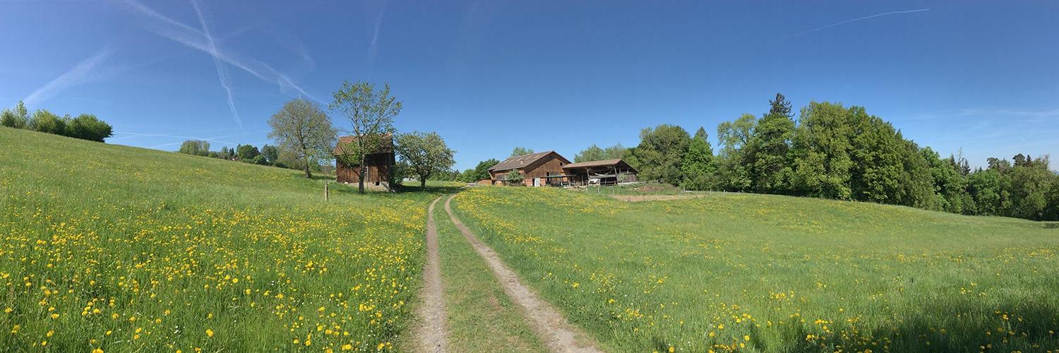 Samuel Raymann 👨🏼‍🌾 banner