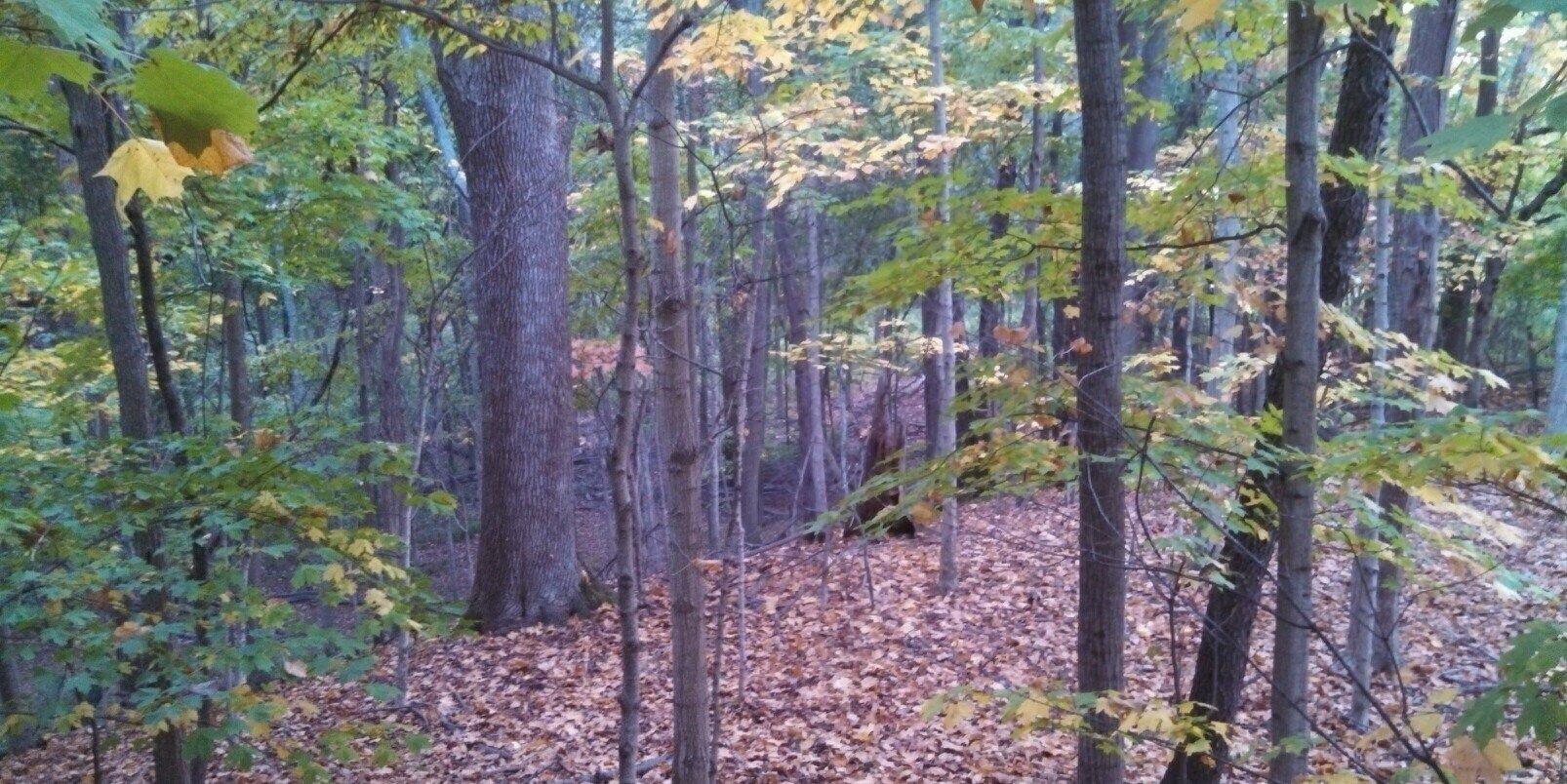 kyle_bock's profile banner image