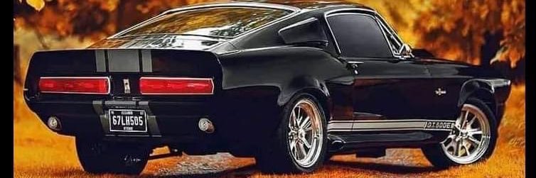 Mark Berthiaume banner