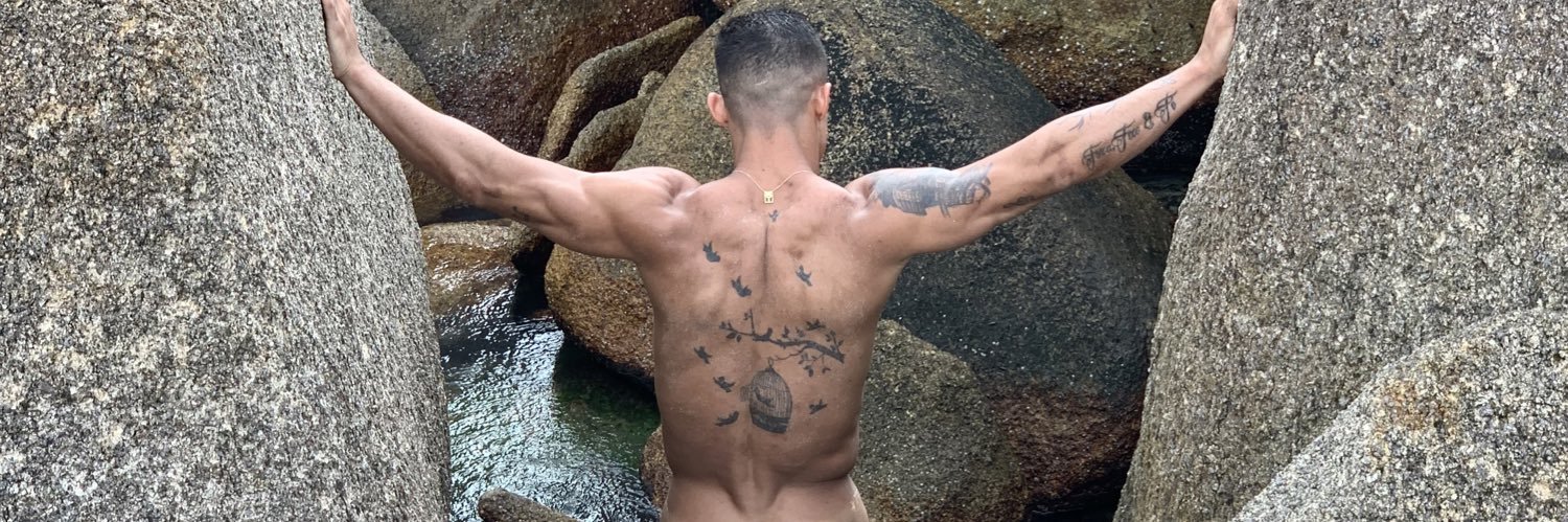 WEMERGOULART's profile banner image