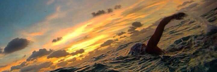 Pablo Garduño   ™ banner