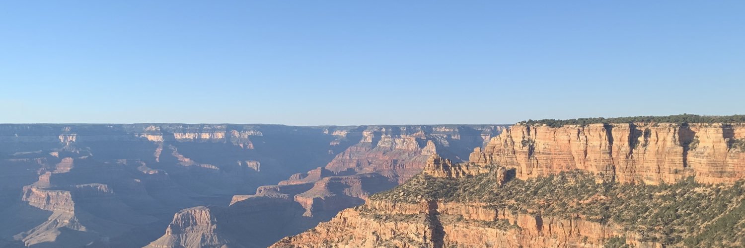 Cat_Kearney_'s profile banner image