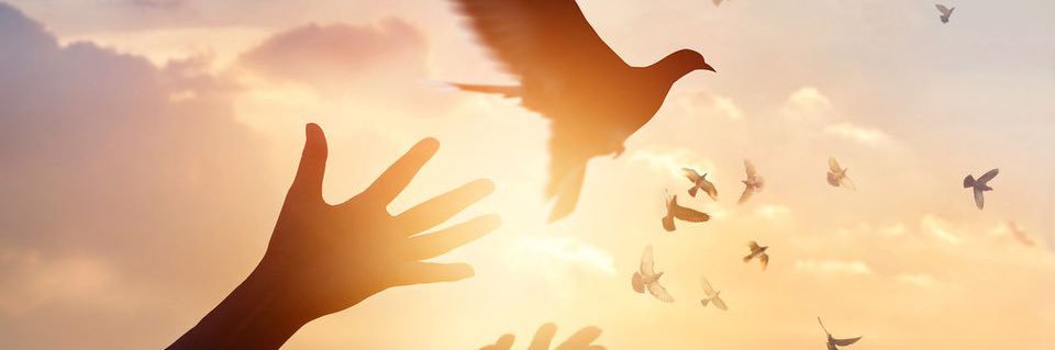 Kneffin's profile banner image