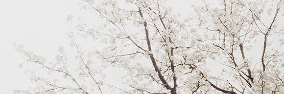 Frovael - COMMS OPEN's banner