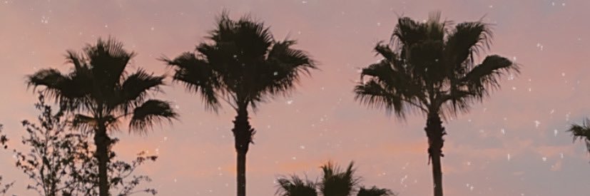 BanizBri's profile banner image