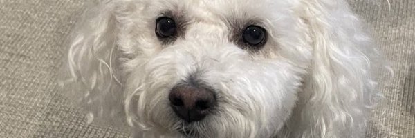 Smitty24030528 Profile Banner