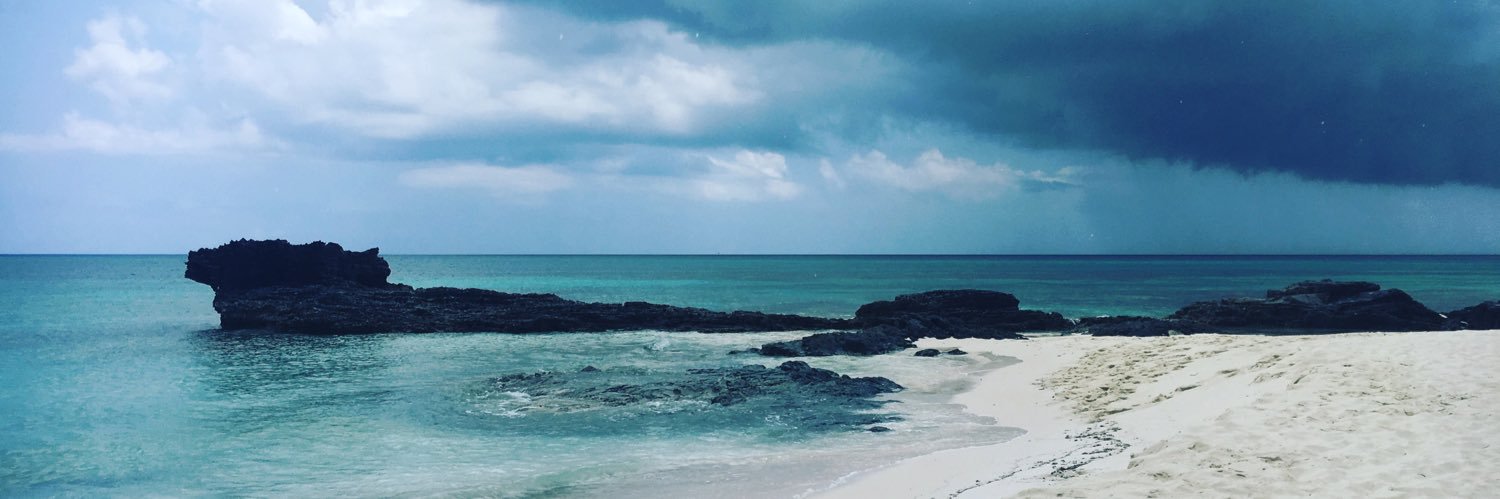 Jackie C. Anglin banner