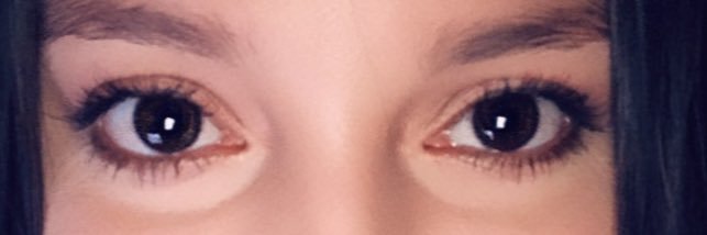 __Lizbeth____'s profile banner image