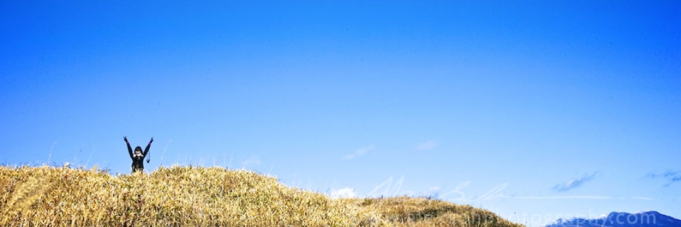 nilshannerz's profile banner image