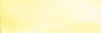 veaxfs's profile banner image