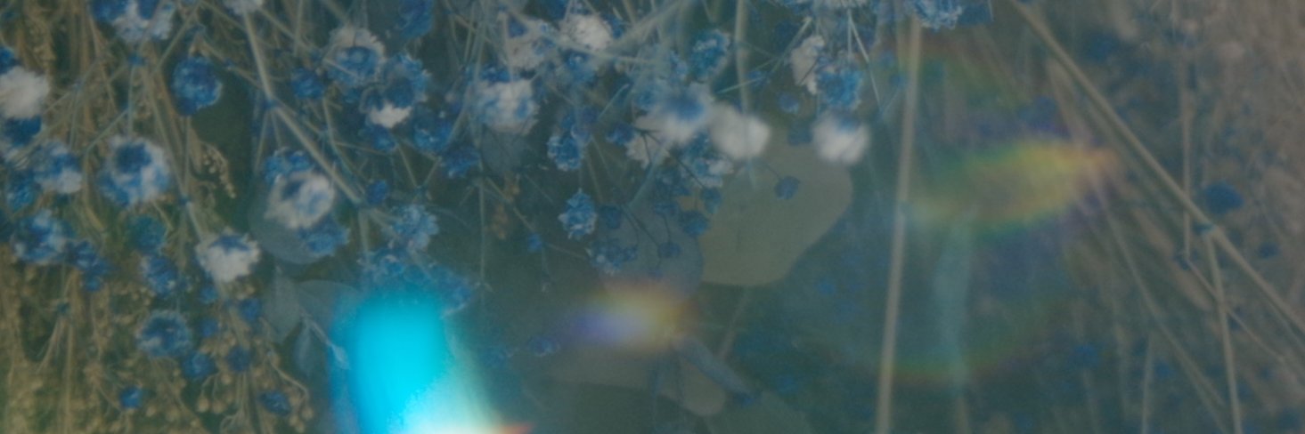 notinoue's profile banner image