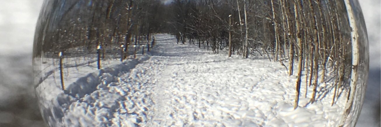brucemayo's profile banner image