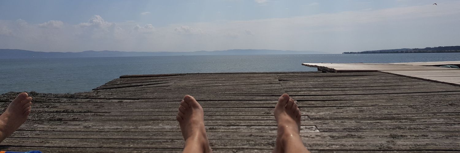 DotnetTrader's profile banner image